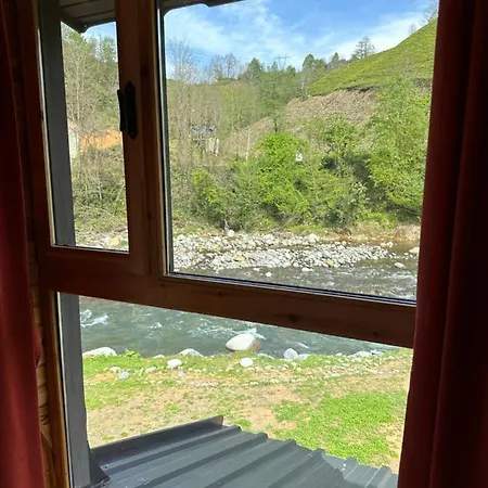 Yesil Dues Tatil Koeyue